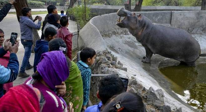 Delhi Zoo